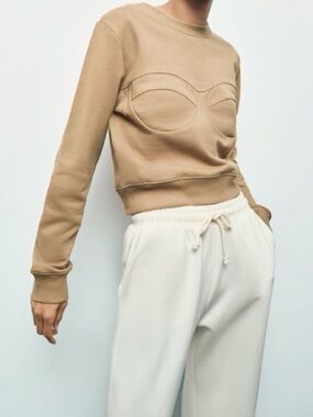 Zara Camel Sculpted-Seam Crewneck Sweatshirt